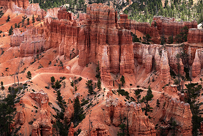Bryce Canyon : Utah : Landscape Photos : Richard Moore : Photographer